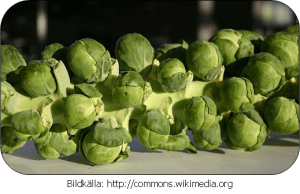 Brysselkål