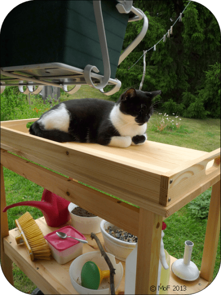 Mia på planteringsbordet