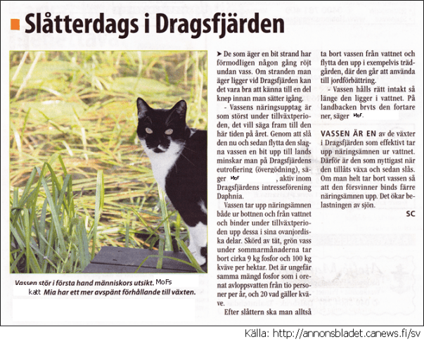 Mia i tidningen