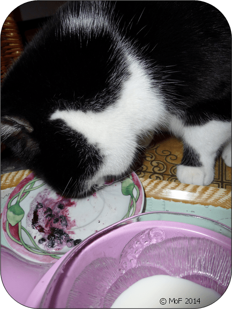 Mia äter blåbärskräm