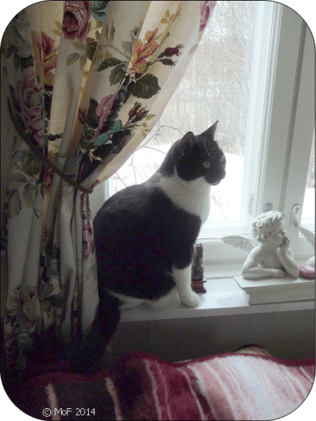 Mia på fönsterbrädan