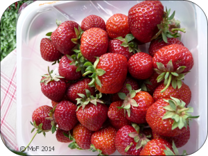 Jordgubbar