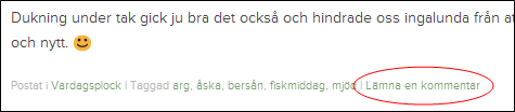 Lämna kommentar