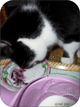 Mia äter blåbärskräm