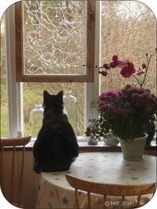 Mia på verandabordet