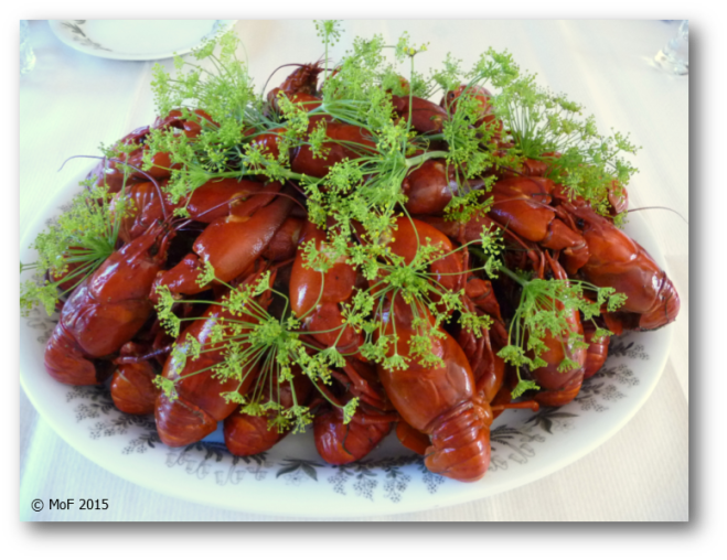 Visst ser dom väl läckra ut?