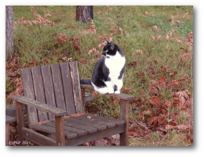 Mia väntar tålmodigt