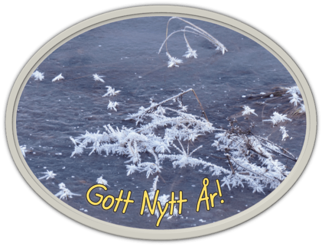 Gott Nytt År