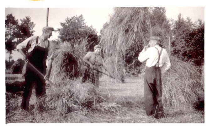 Höbärgning i Söderby