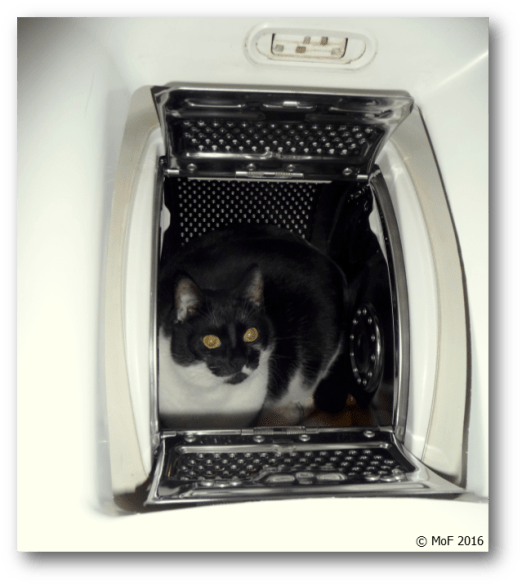 Mia i tvättmaskinen