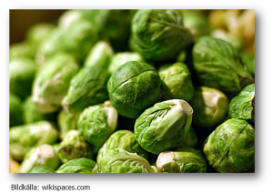 Brysselkål