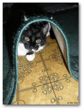 mia-leker-kurragomma